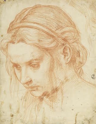 Study of the Head of a Young Woman