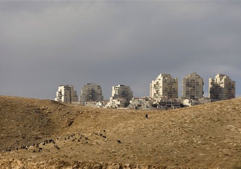 A Palestinian shepherd follows a herd near the Mishor Adumim industrial zone with the Jewish West Bank settlement of Maaleh Adumim in the background