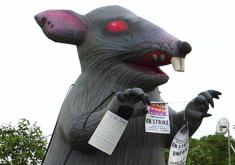union rat