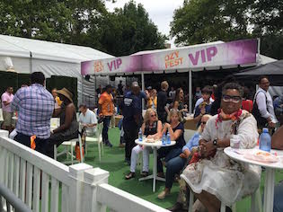 ozyfest vip section