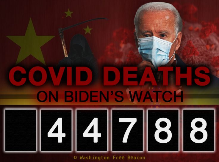 biden-death-count-main-23-736x545.jpg
