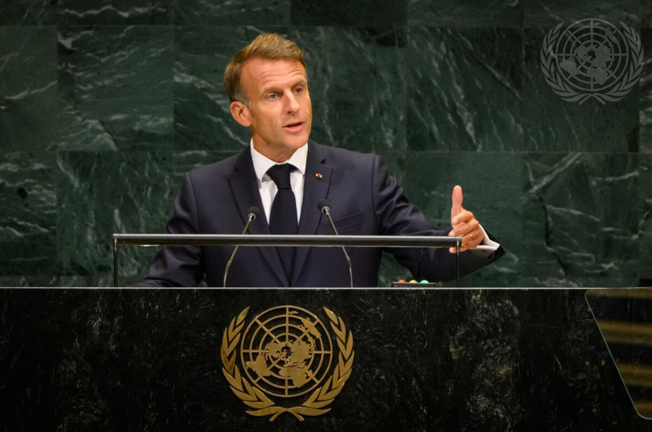 France’s Macron and the Law of the Jungle